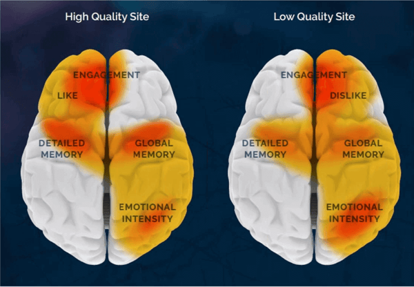 due cervelli comparati e differenze tra le aree di interesse che vengono stimolate in base alla qualità del sito web